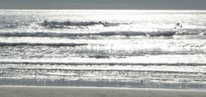 20091010_katakai_gyokou.jpg