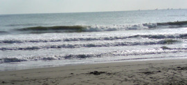2009_10_21_torami.jpg