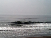 surfday_100706.jpg