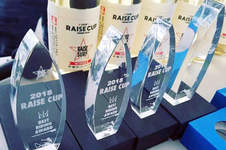 -RAISECUP 2018 大会結果-